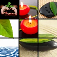 Seedling, candle, and remembrance stones